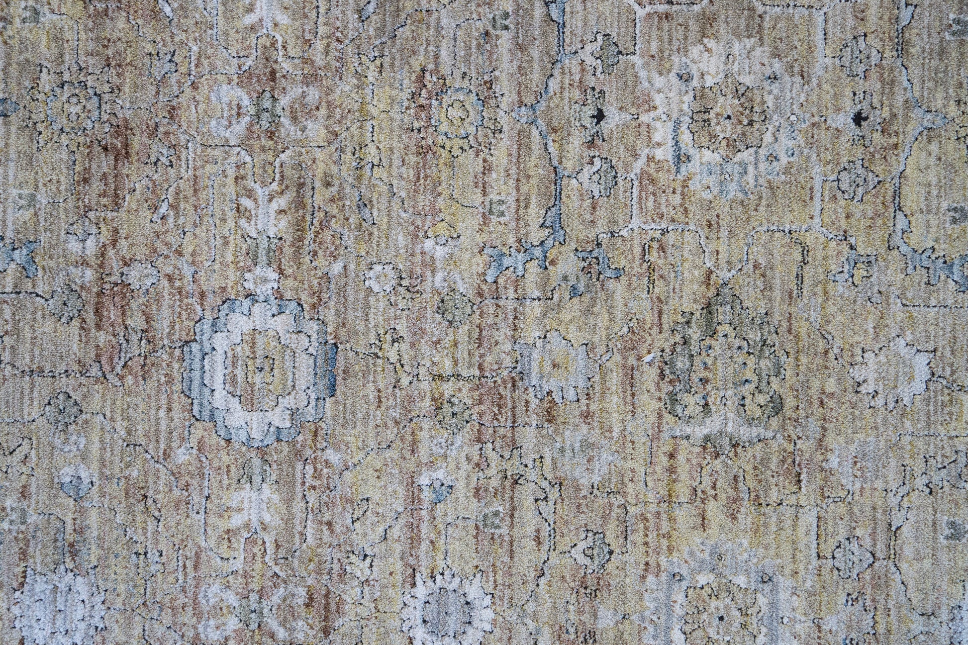 Trevi Transitional Beige/Cream Floral Medium Pile Rug