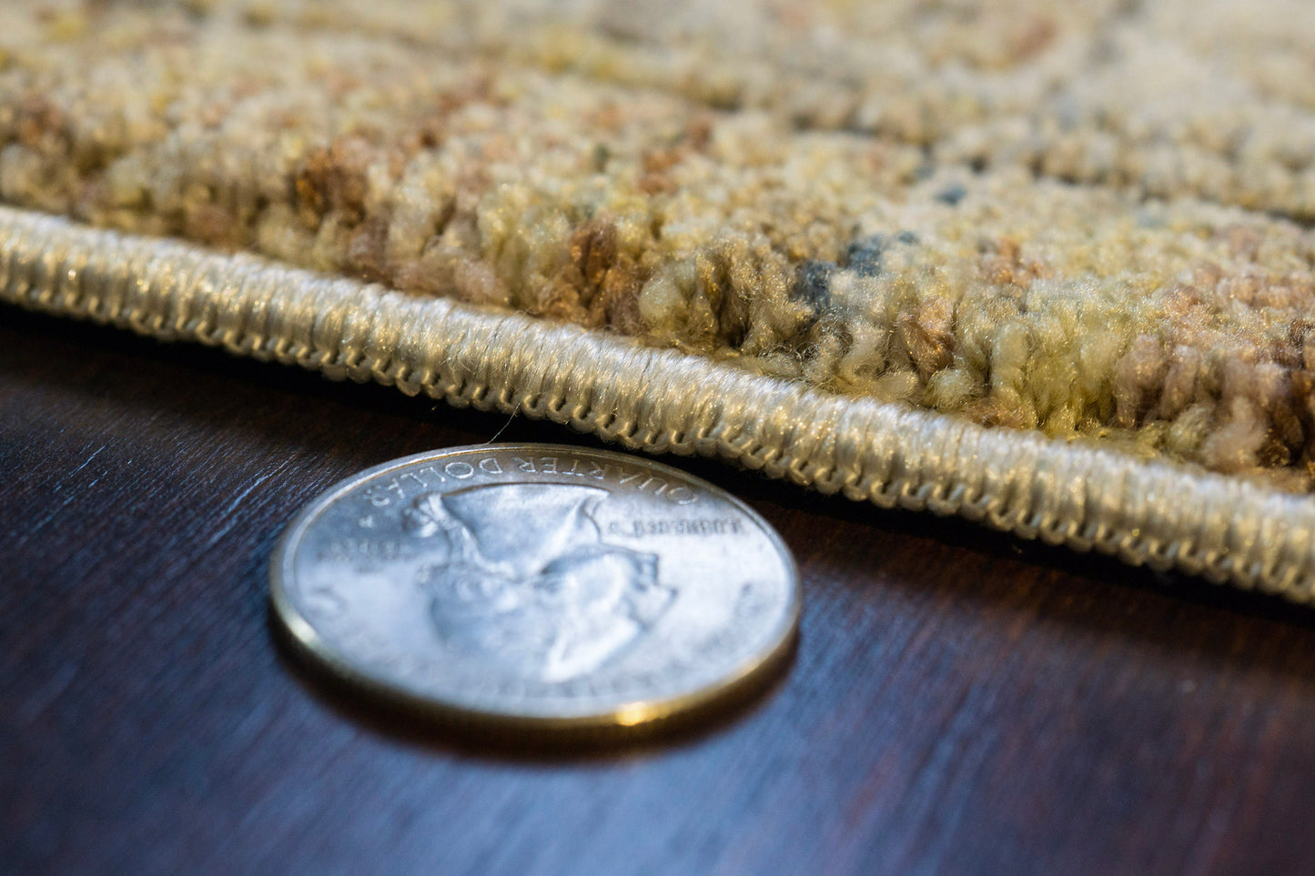 Trevi Transitional Beige/Cream Floral Medium Pile Rug