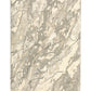 Anastasia 68008 Beige Abstract Rug