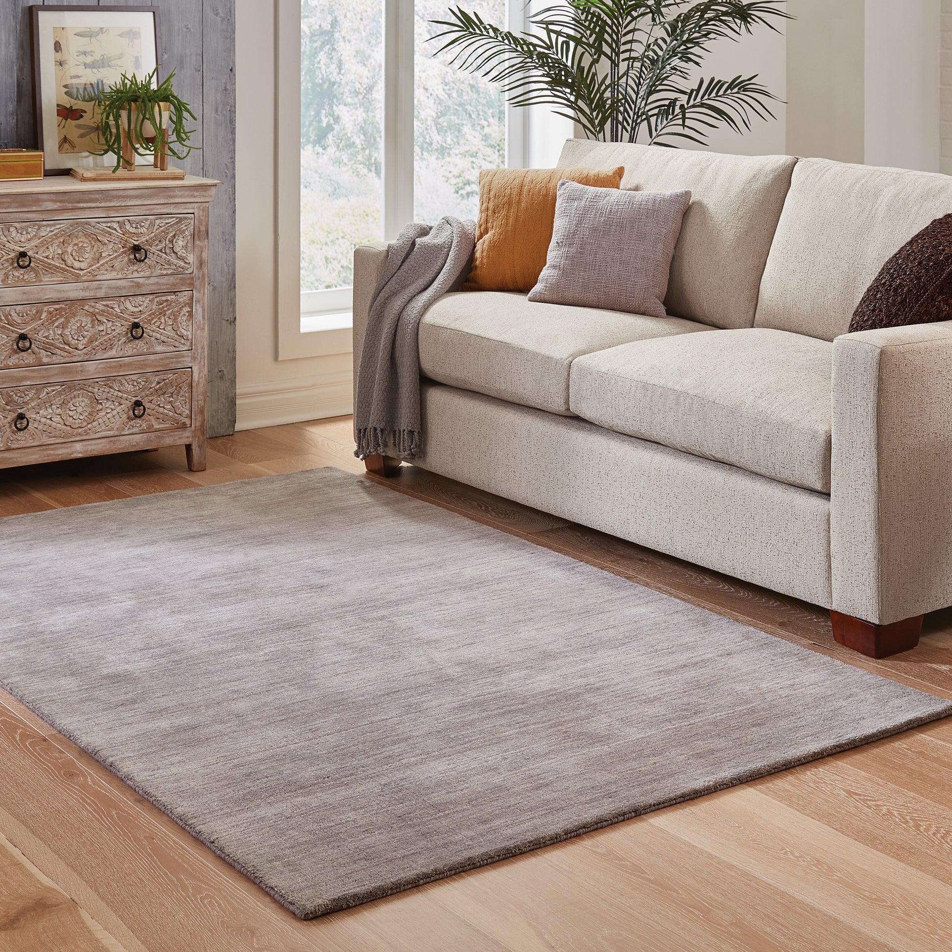 Aniston Solid Grey/ Grey Cut Pile Rug