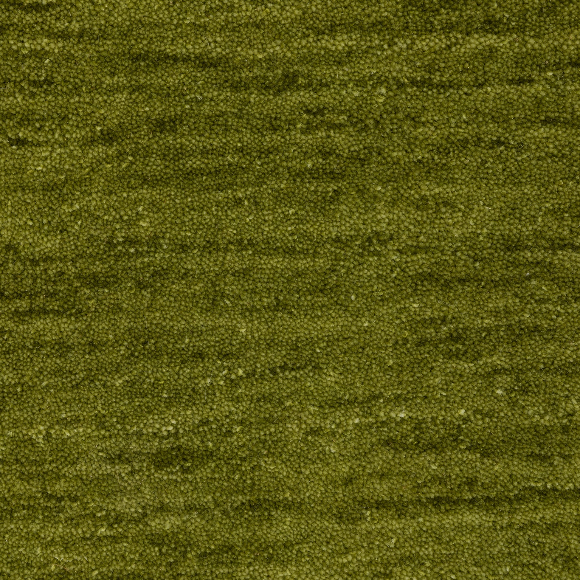 Aniston Ii 27116 Green Solid Rug