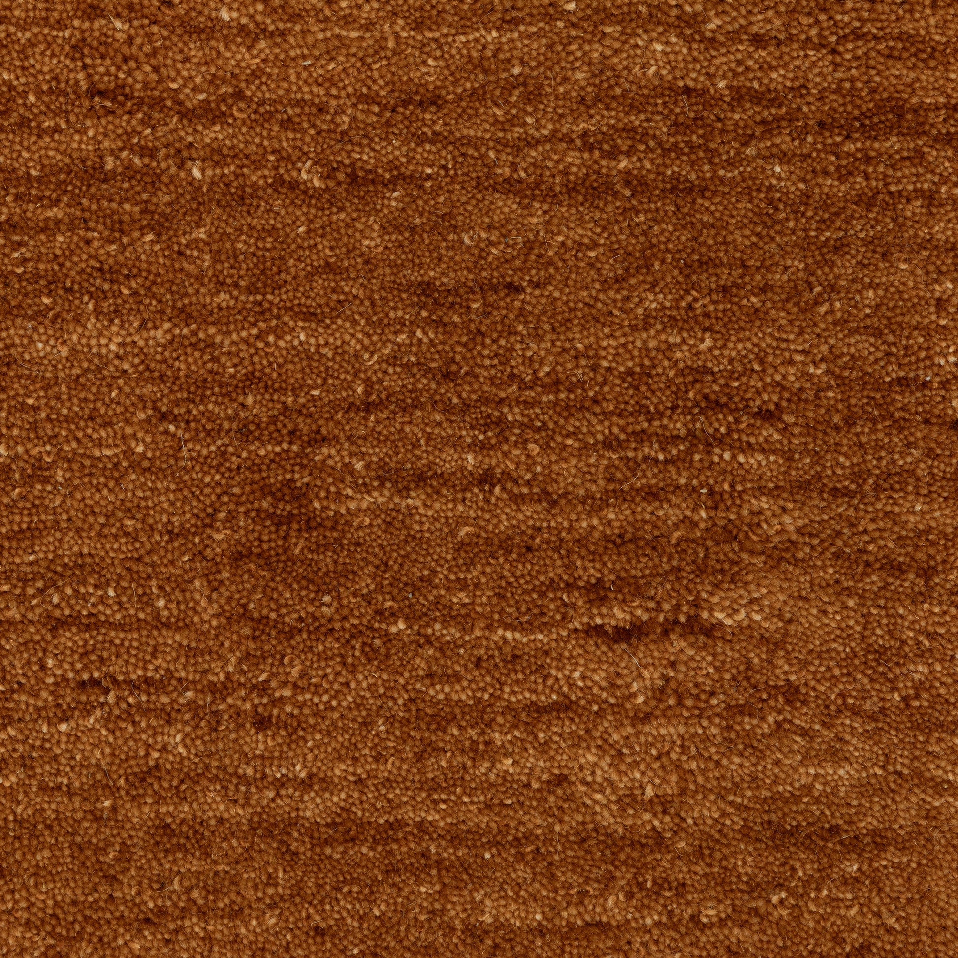 Aniston Ii Solid Rust/ Rust Cut Pile Rug