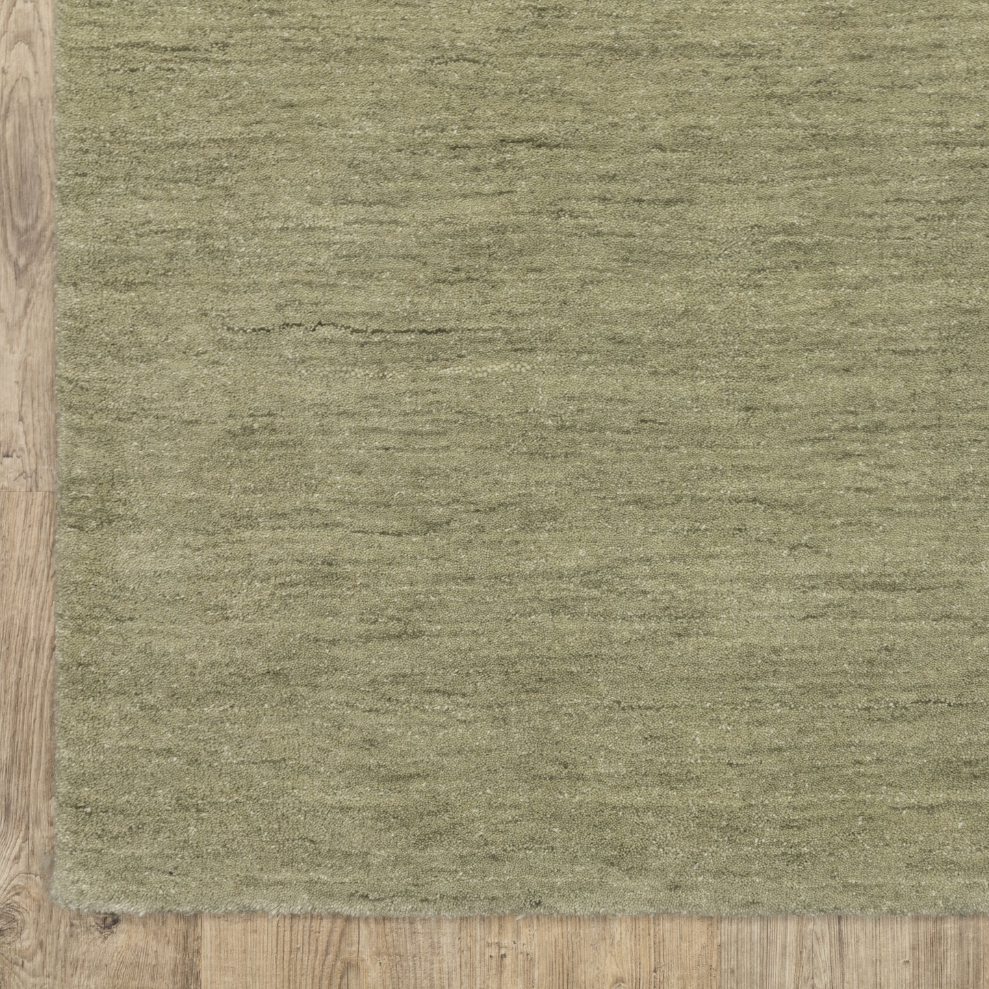 Aniston Ii Solid Green/ Green Cut Pile Rug