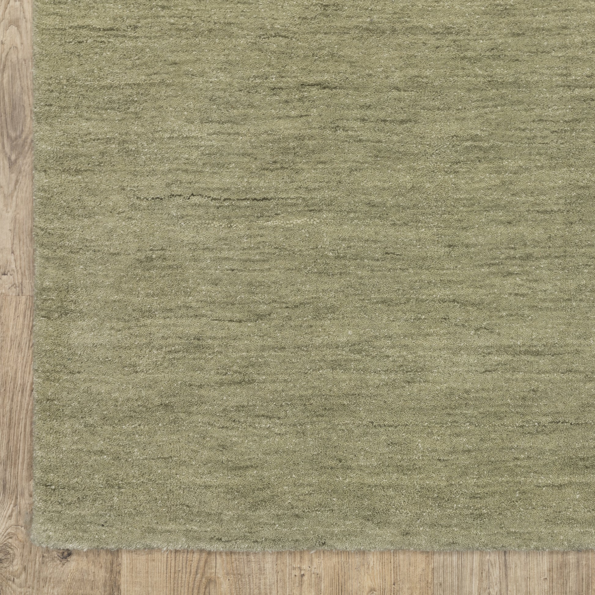 Aniston Ii Solid Green/ Green Cut Pile Rug