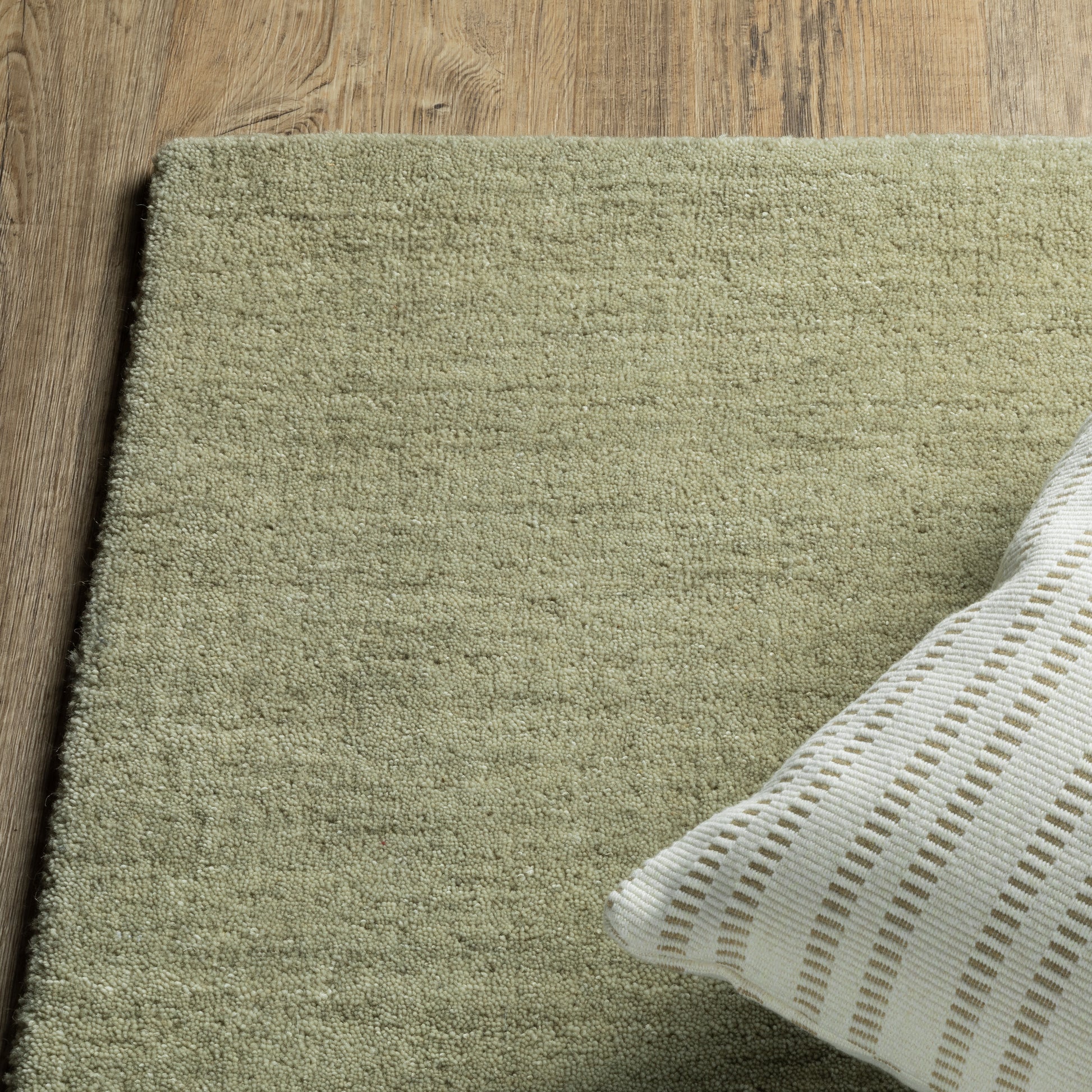 Aniston Ii Solid Green/ Green Cut Pile Rug