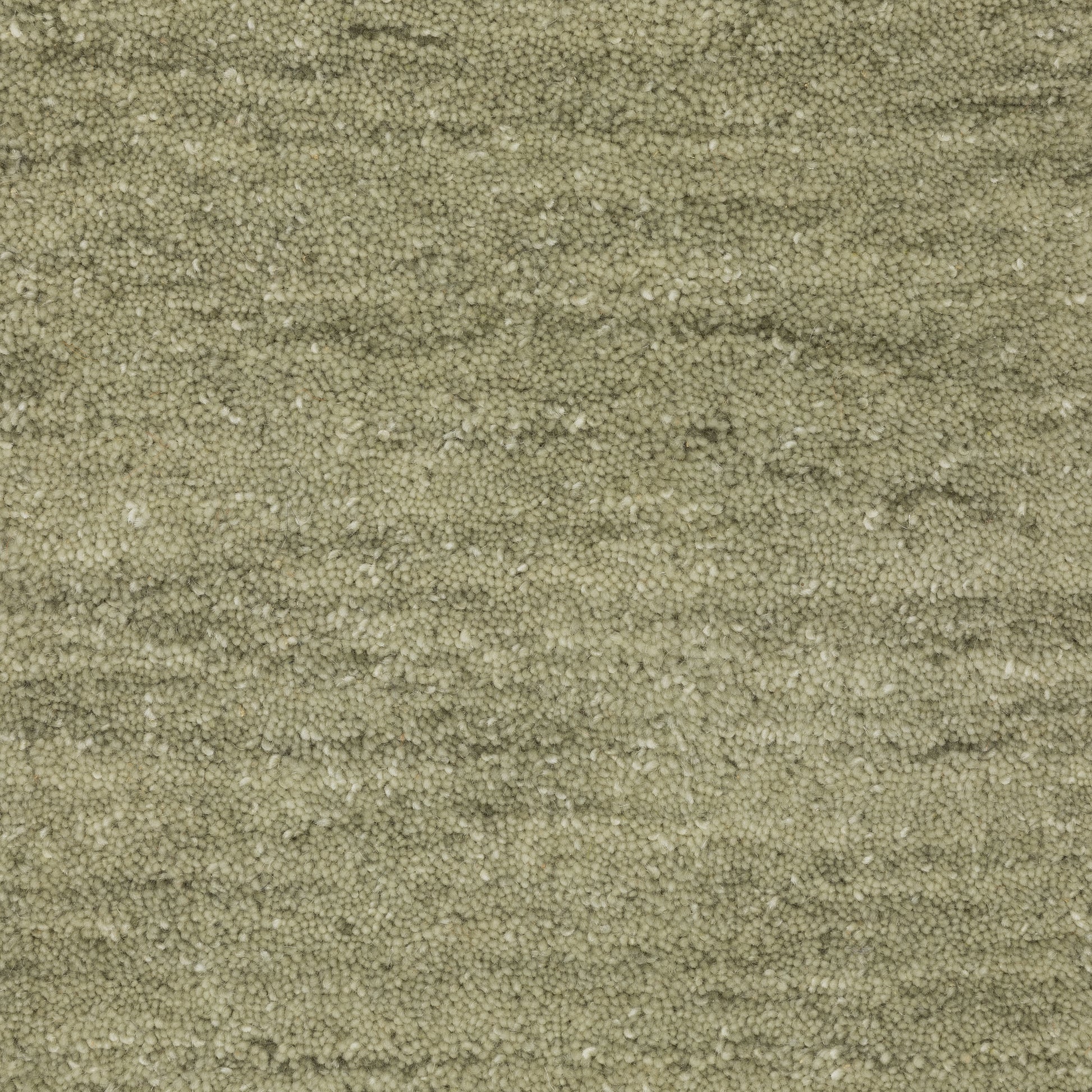 Aniston Ii Solid Green/ Green Cut Pile Rug