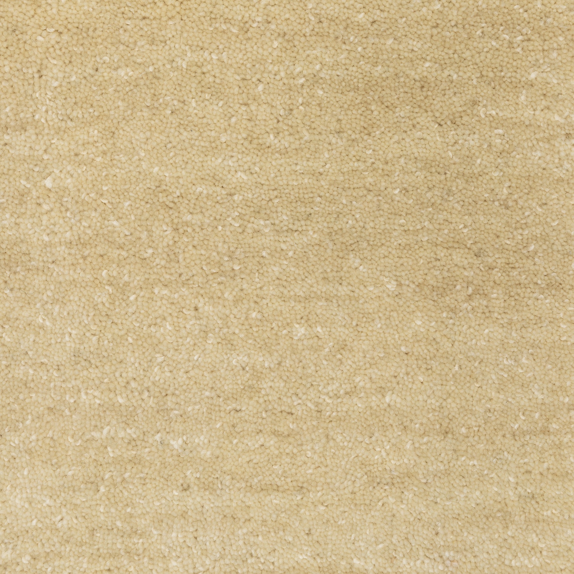 Aniston Ii 27122 Beige Solid Rug