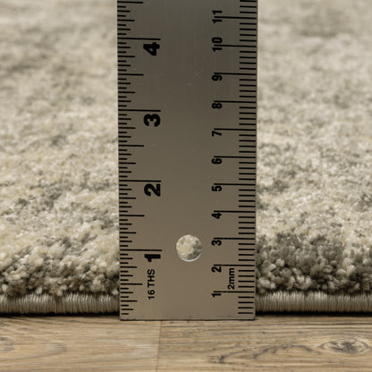 Astor Distressed Beige/ Grey Cut Pile Rug