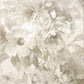 ECLIPSE 63421 Beige/Cream – main