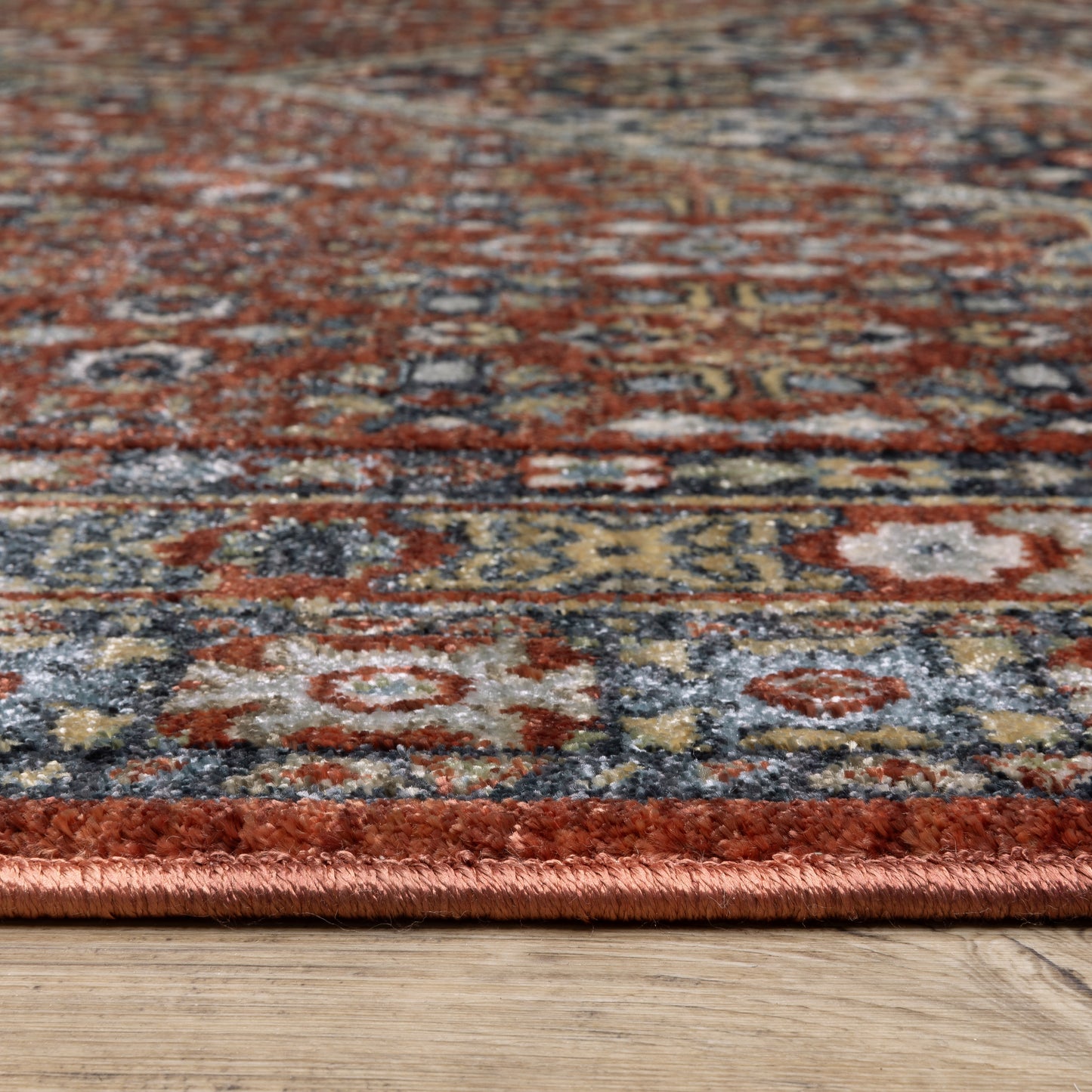 Eliana Medallion Red/ Multi Distressed Cut Pile Rug