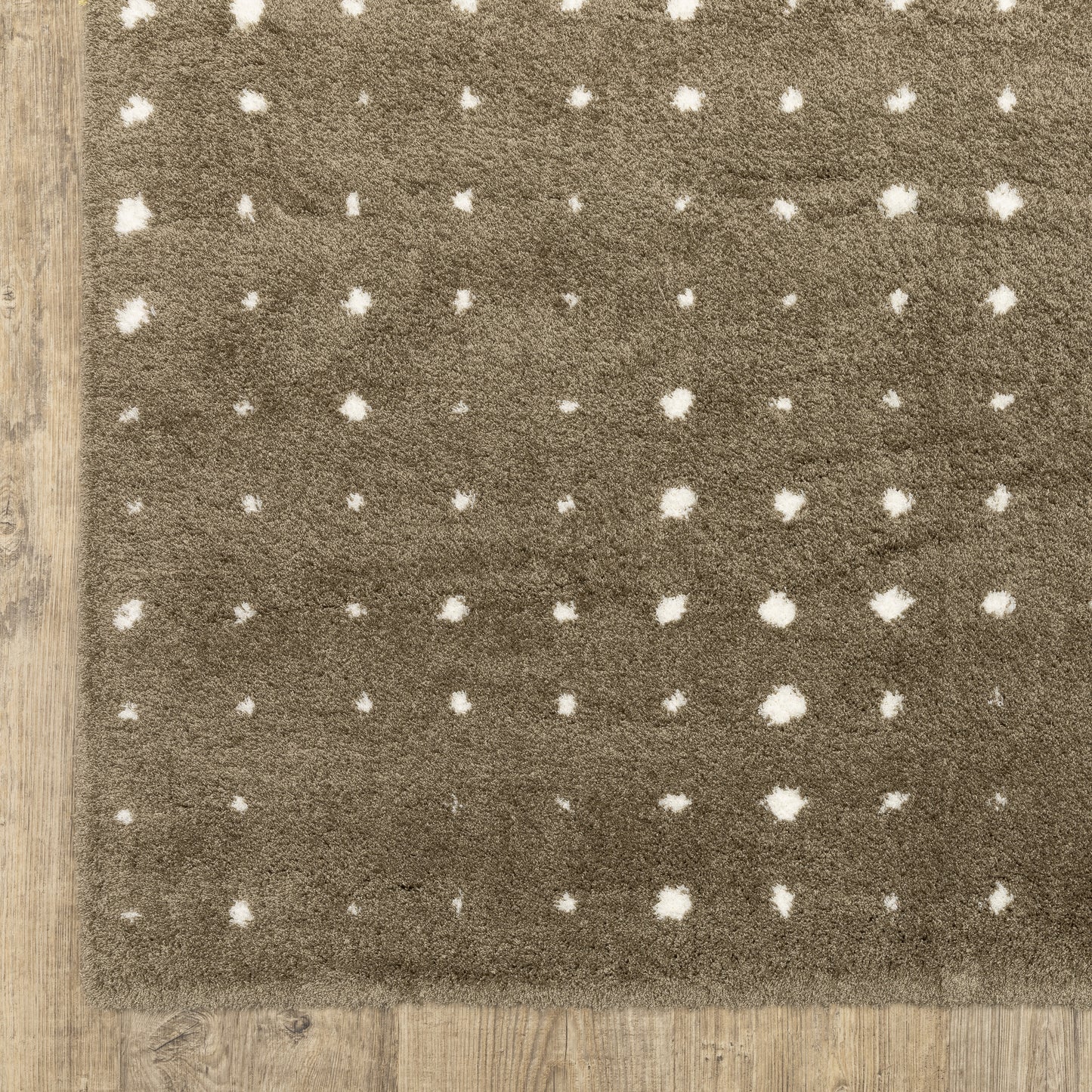 Galileo Circles Brown/ Ivory Geometric Cut Pile Rug