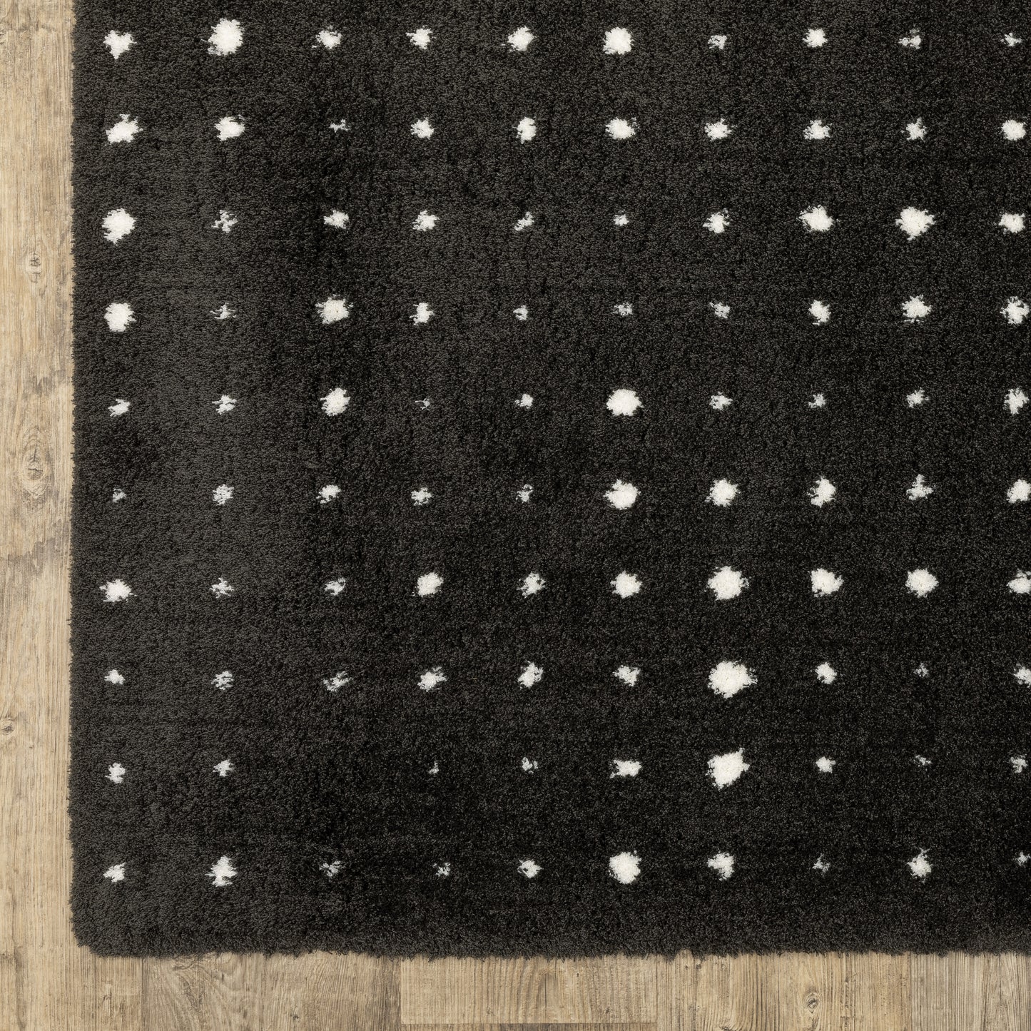 Galileo Circles Black/ Ivory Geometric Cut Pile Rug