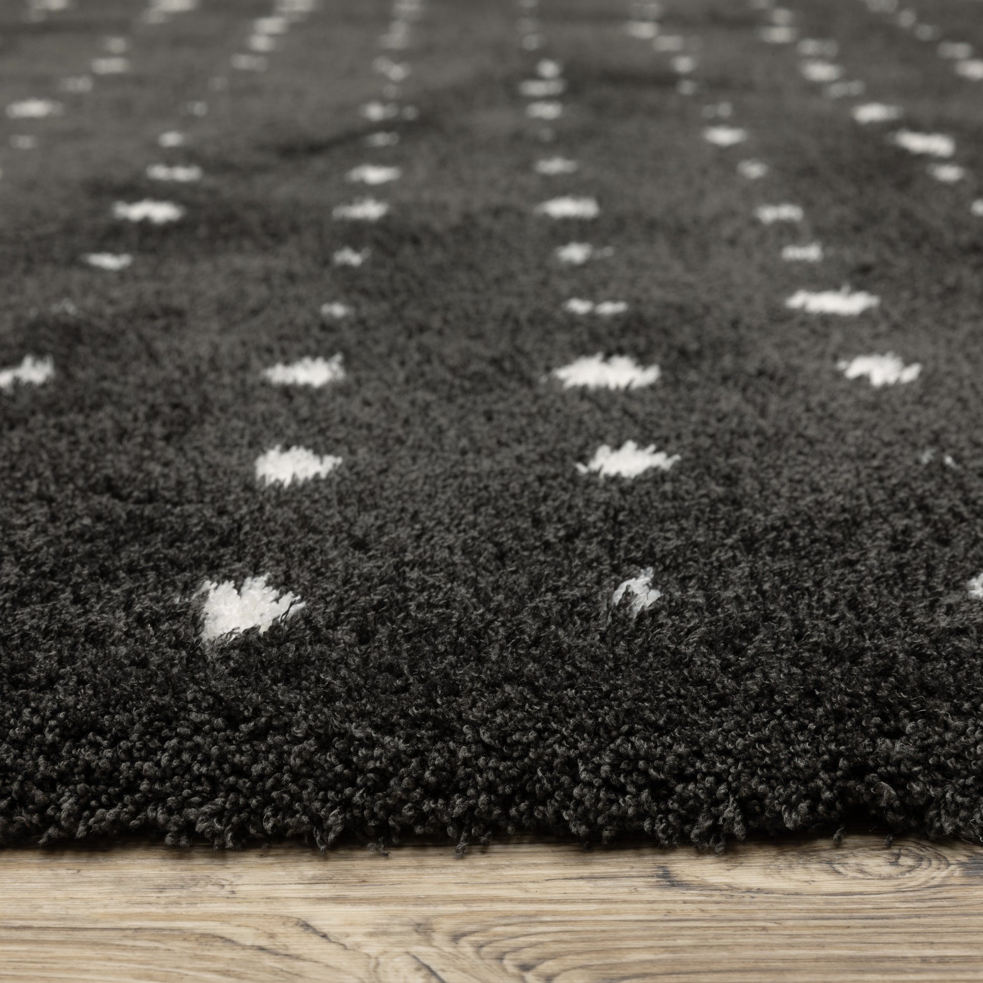 Galileo Circles Black/ Ivory Geometric Cut Pile Rug