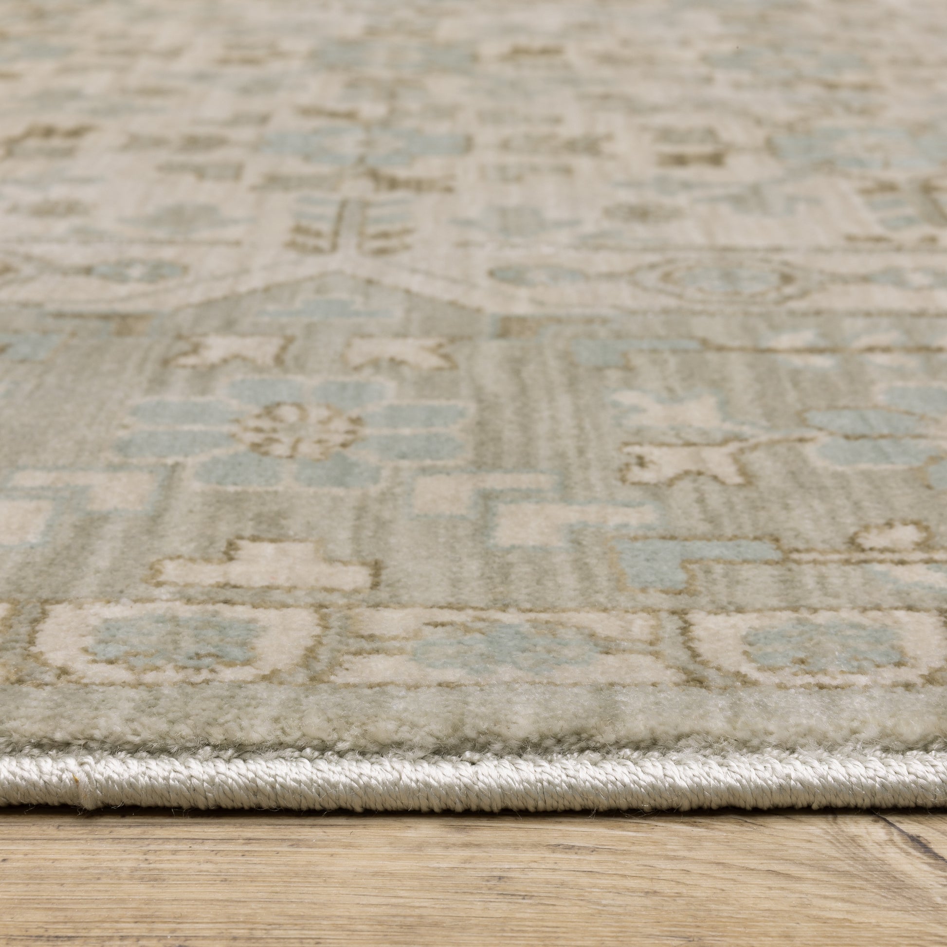 Maeve Border Beige/ Blue Distressed Cut Pile Rug