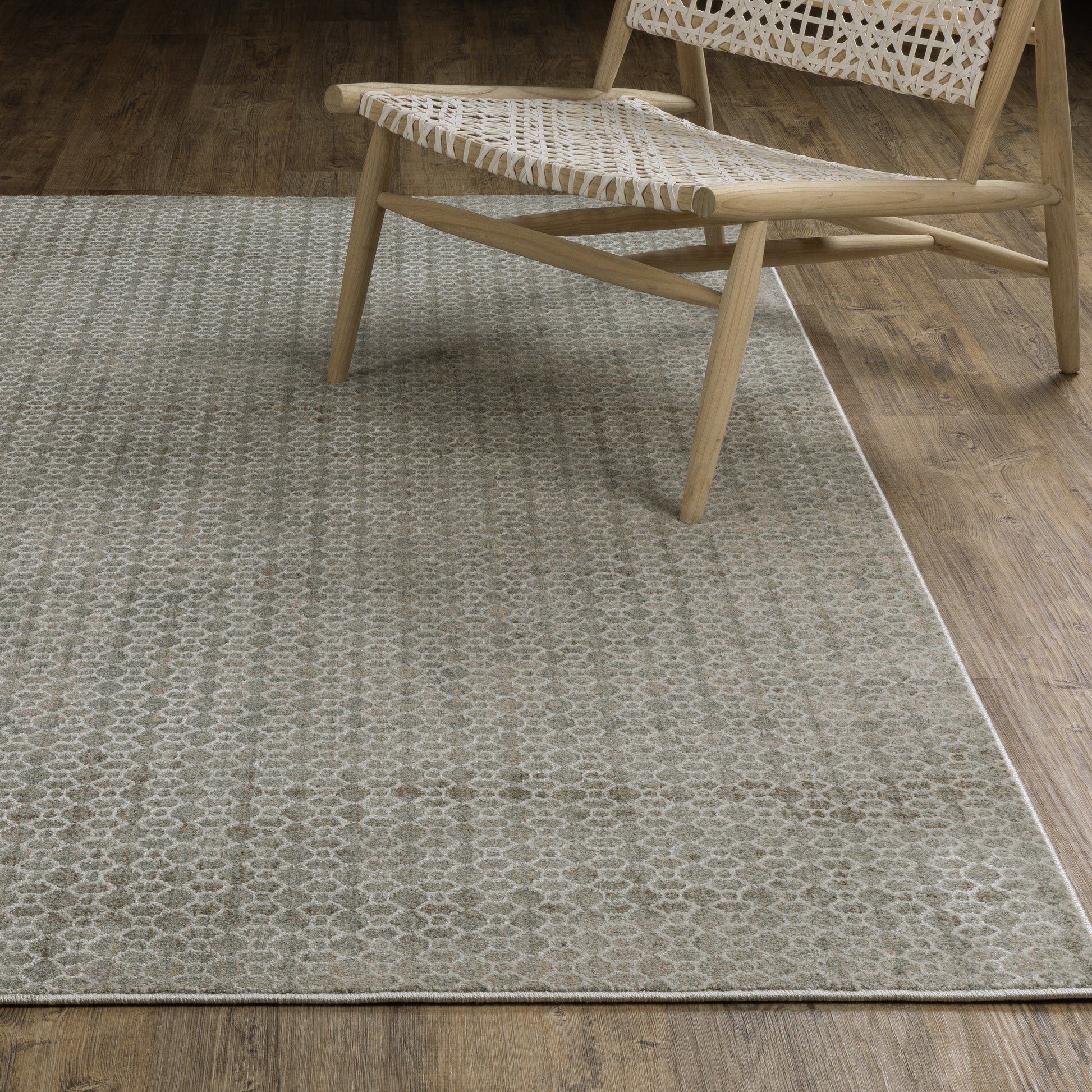 Mallory MAL04 Grey Distressed Rug