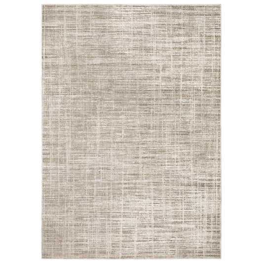 Nebulous 071E9 Beige Distressed Rug