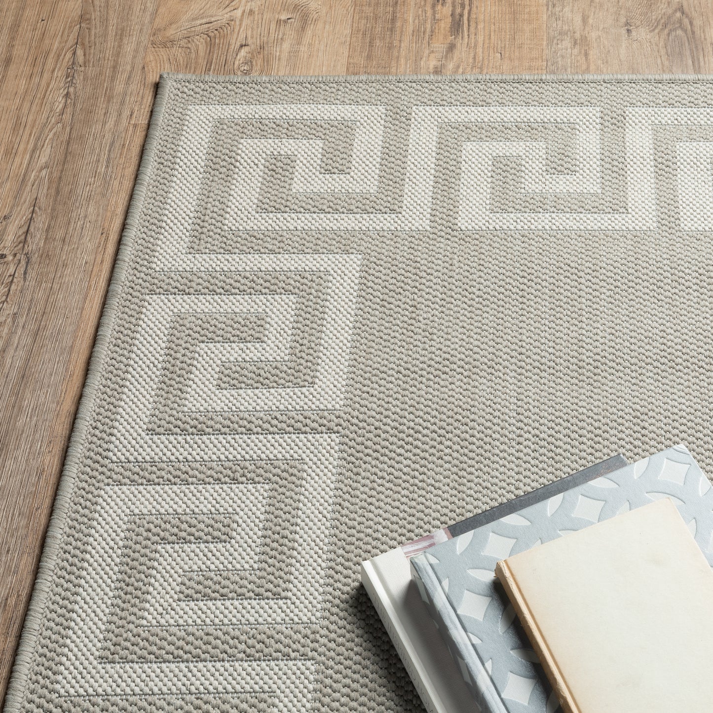Portofino Outdoor Grey/ Ivory Border Flat Weave Rug
