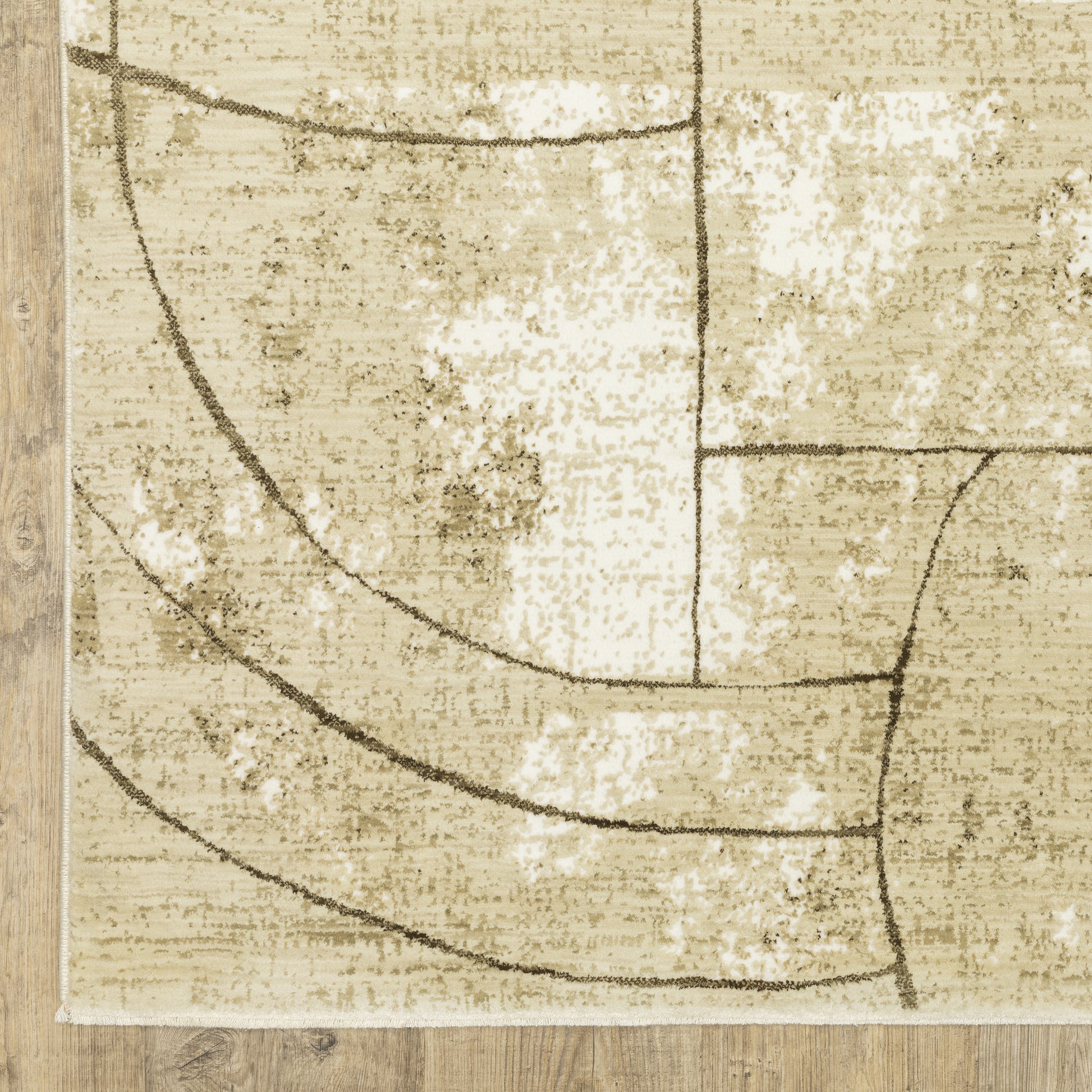 Reed Distressed Beige/ Brown Geometric Cut Pile Rug