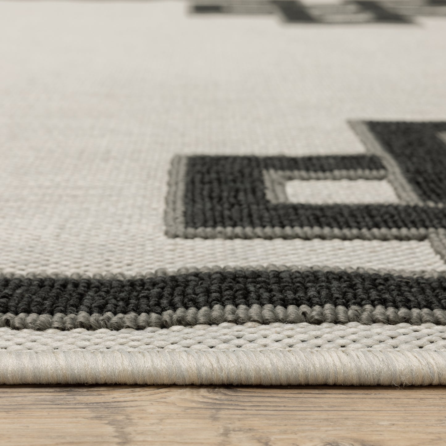 Torrey Outdoor Beige/ Black Border Loop Pile Rug