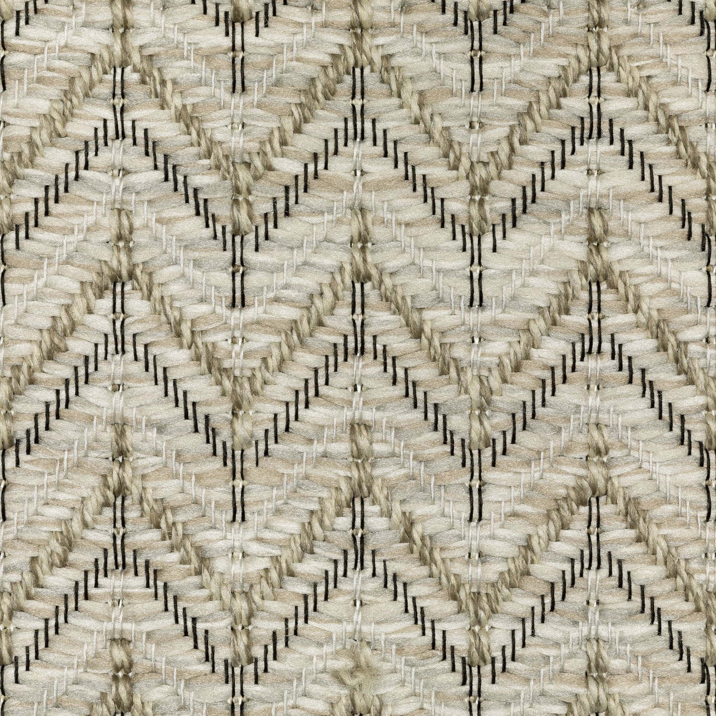 Tortuga Stripe Beige/ Black Geometric Flat Weave Rug