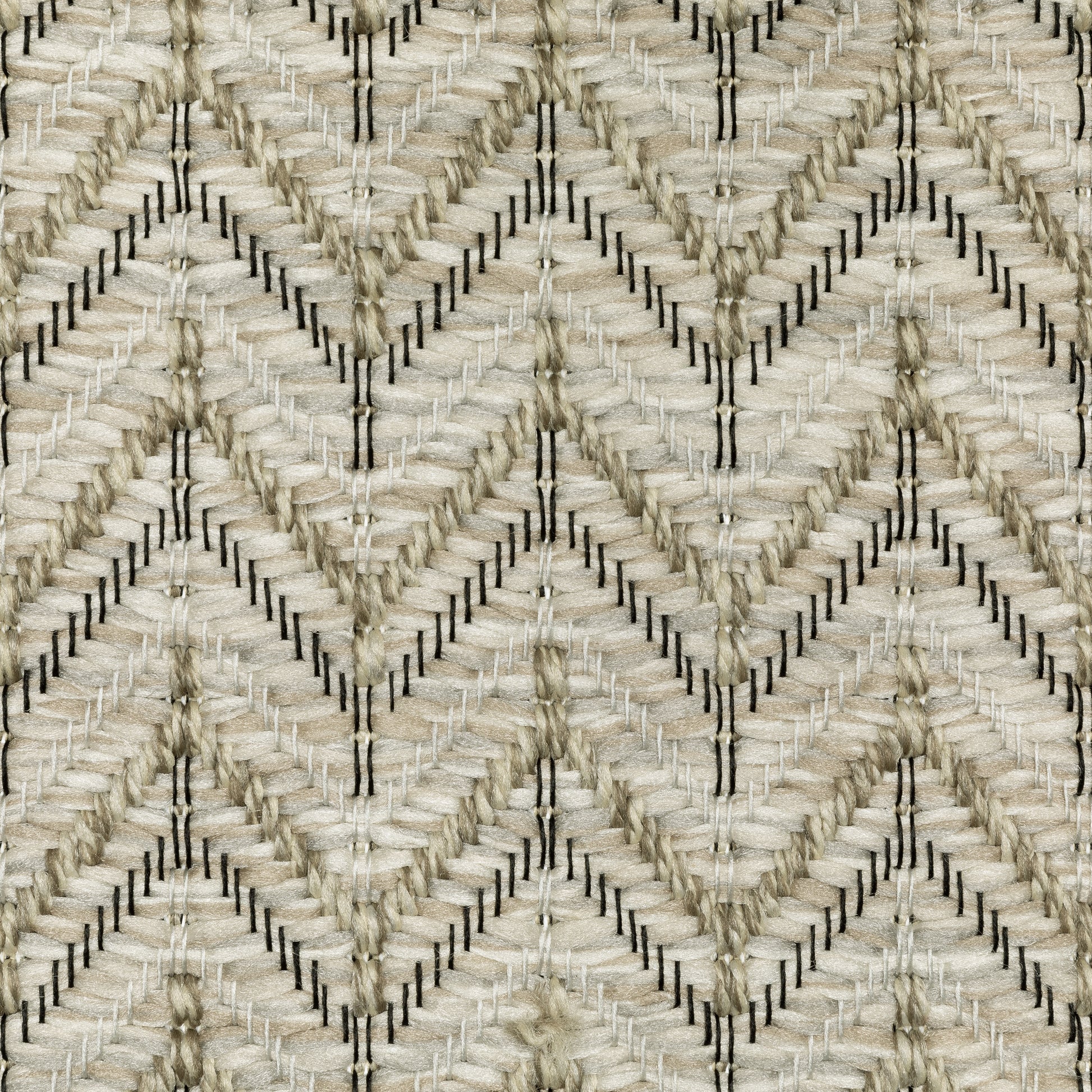 Tortuga Stripe Beige/ Black Geometric Flat Weave Rug