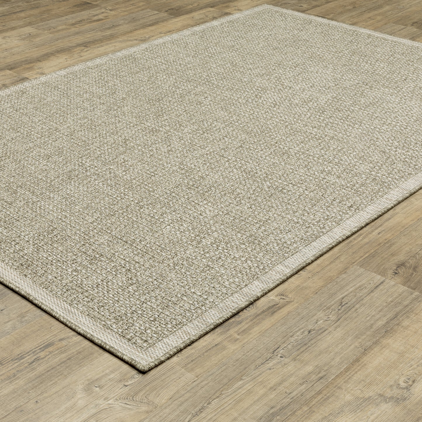 Tortuga Border Beige/ Beige Solid Flat Weave Rug