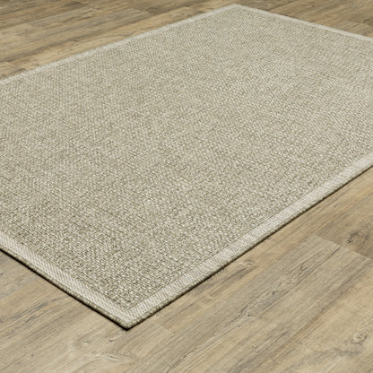 Tortuga Border Beige/ Beige Solid Flat Weave Rug