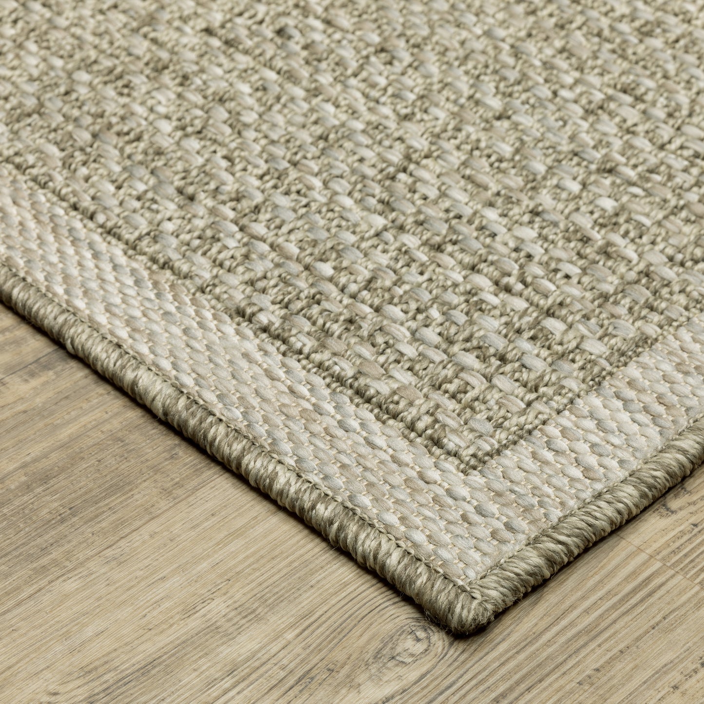 Tortuga Border Beige/ Beige Solid Flat Weave Rug