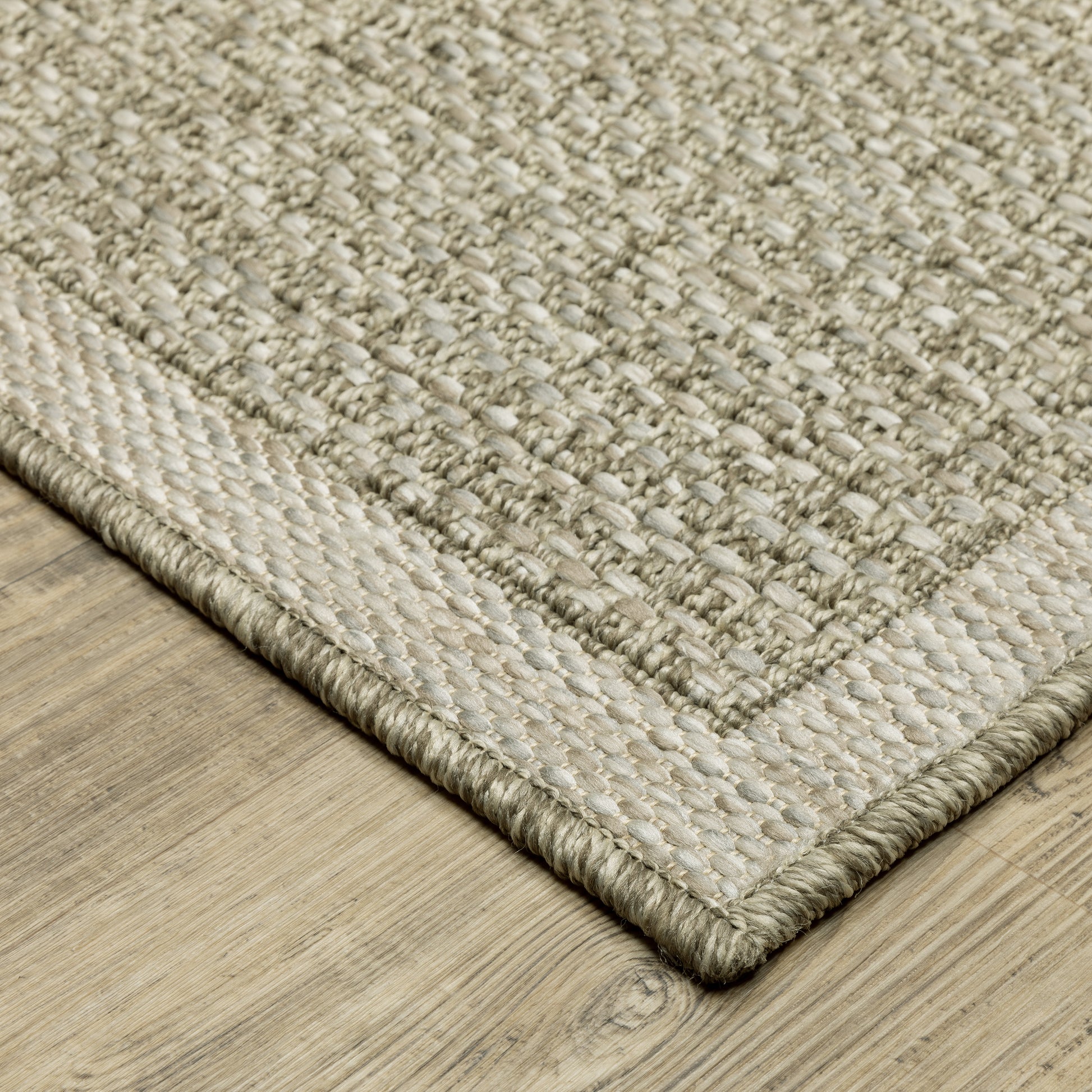 Tortuga Border Beige/ Beige Solid Flat Weave Rug