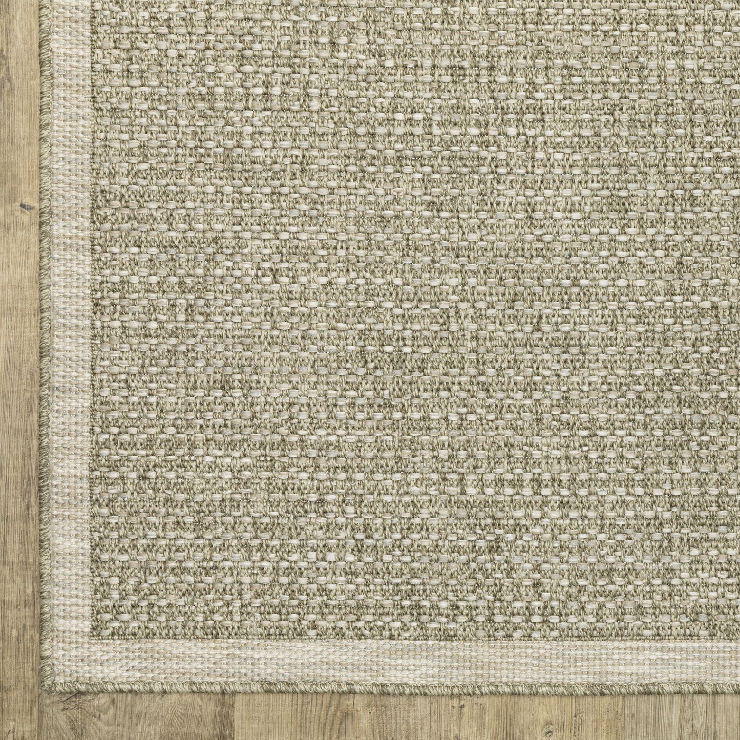 Tortuga Border Beige/ Beige Solid Flat Weave Rug