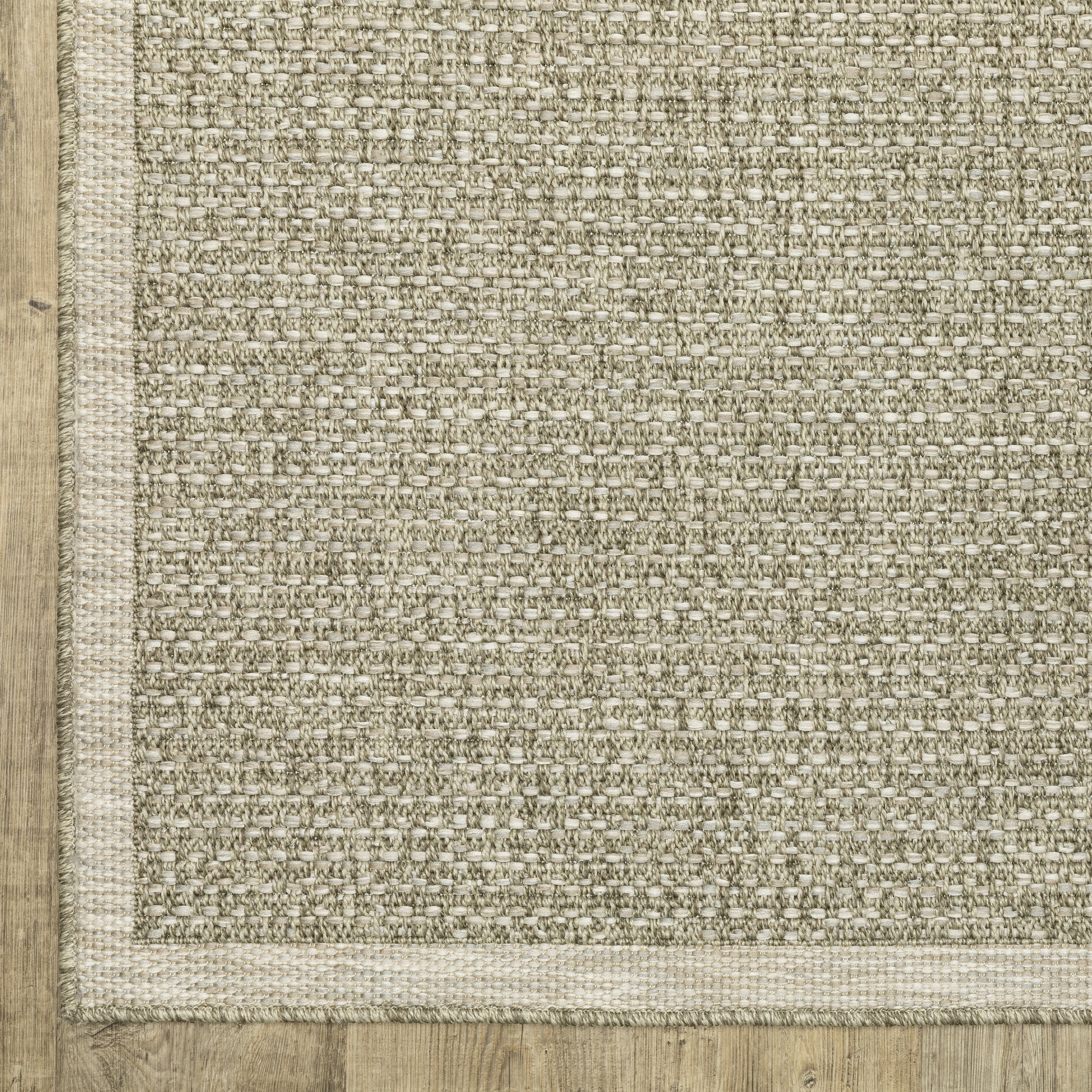 Tortuga Border Beige/ Beige Solid Flat Weave Rug