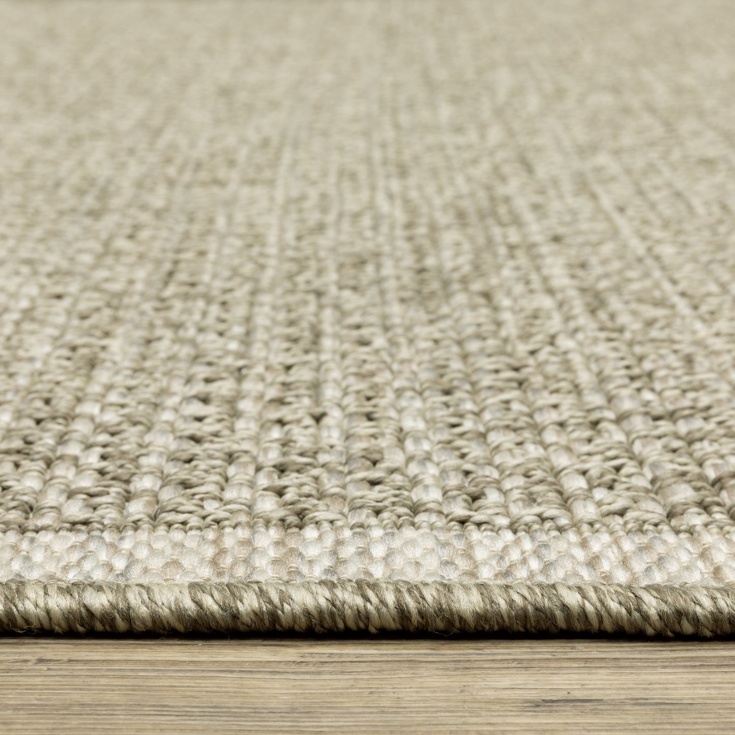 Tortuga Border Beige/ Beige Solid Flat Weave Rug