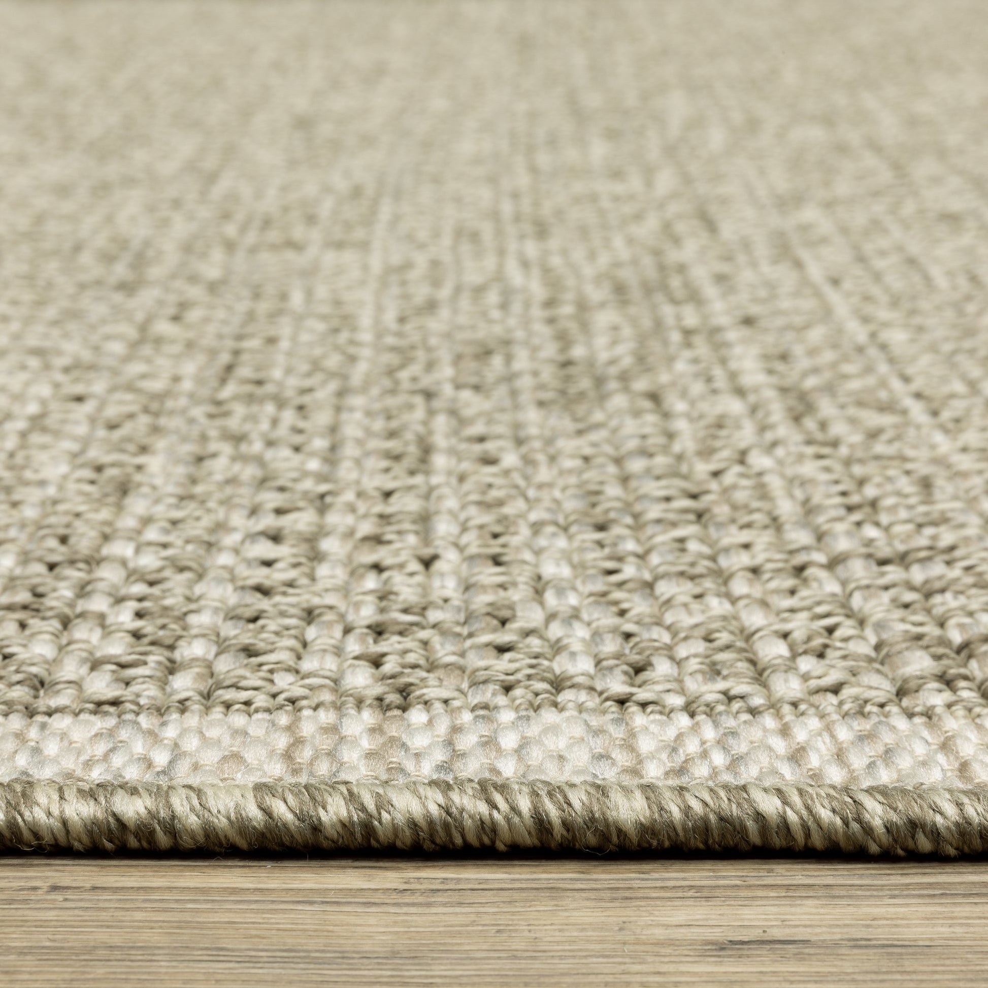 Tortuga Border Beige/ Beige Solid Flat Weave Rug