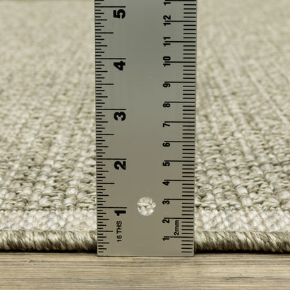 Tortuga Border Beige/ Beige Solid Flat Weave Rug