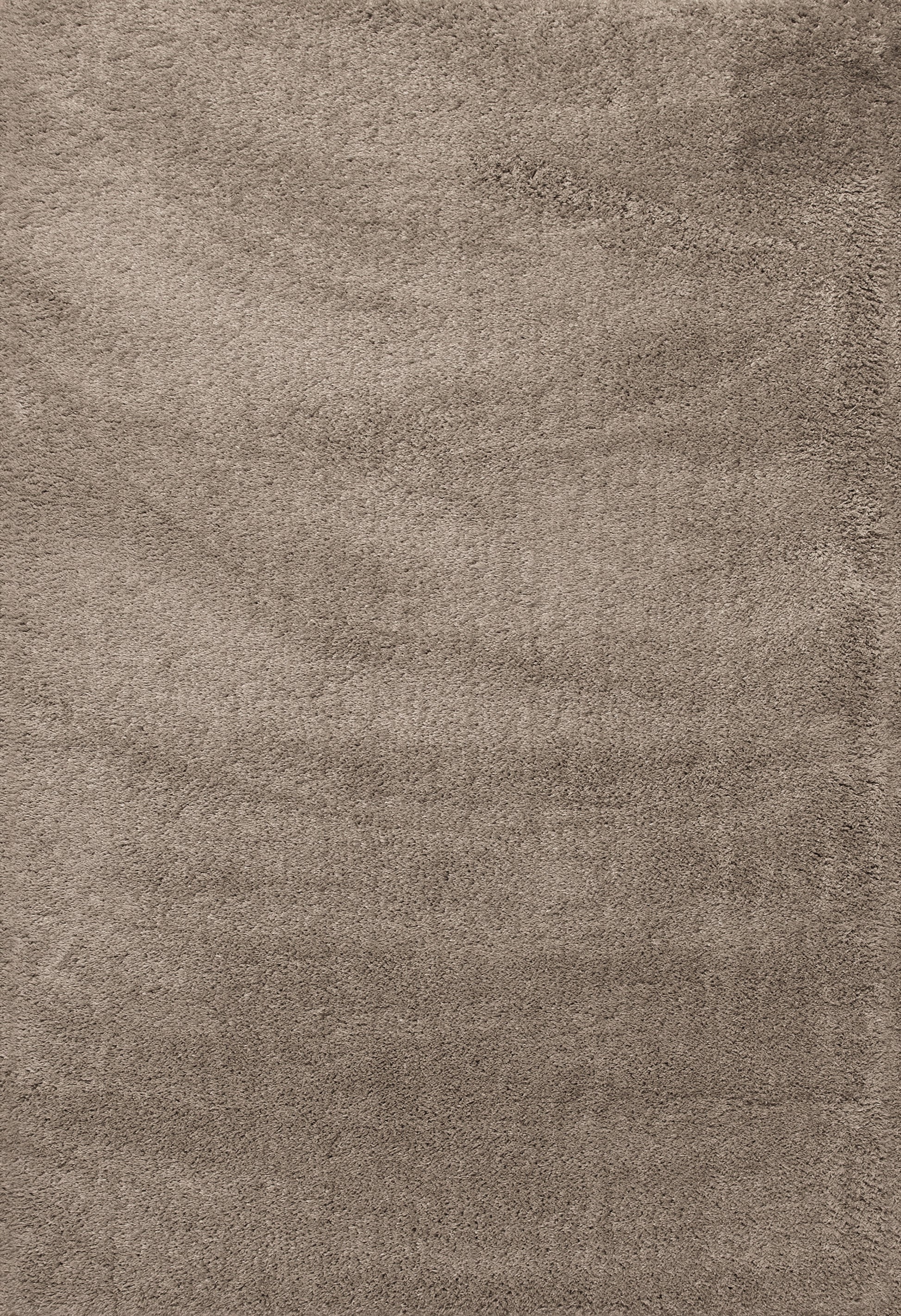 SILKY SHAG 5900-115.jpg