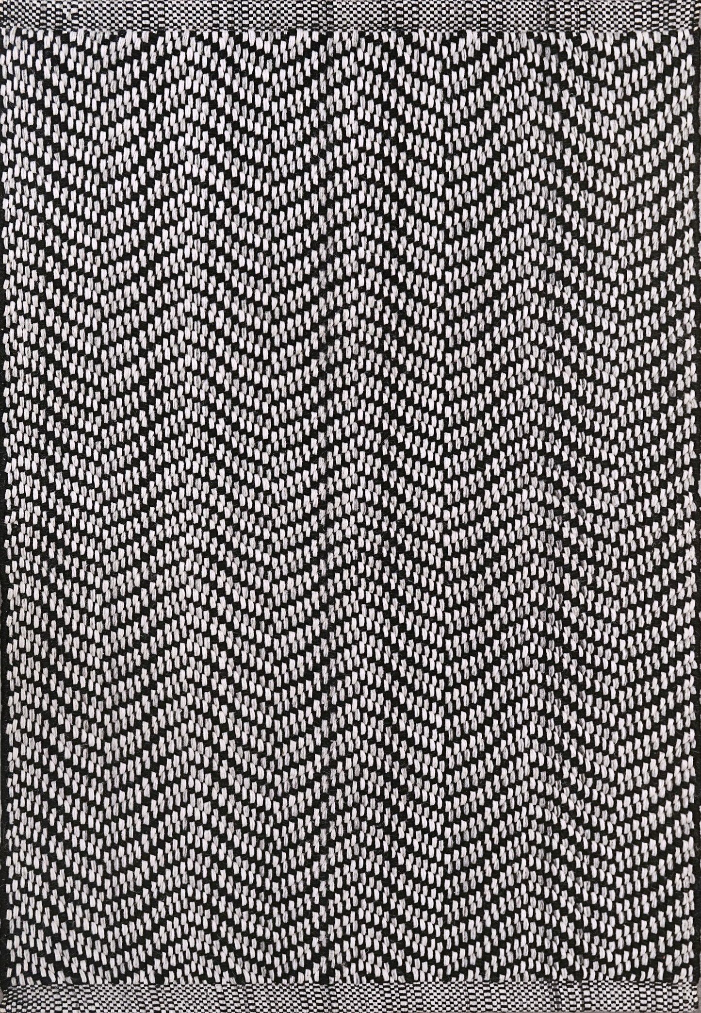 ALLEGRA 2986-919.jpg