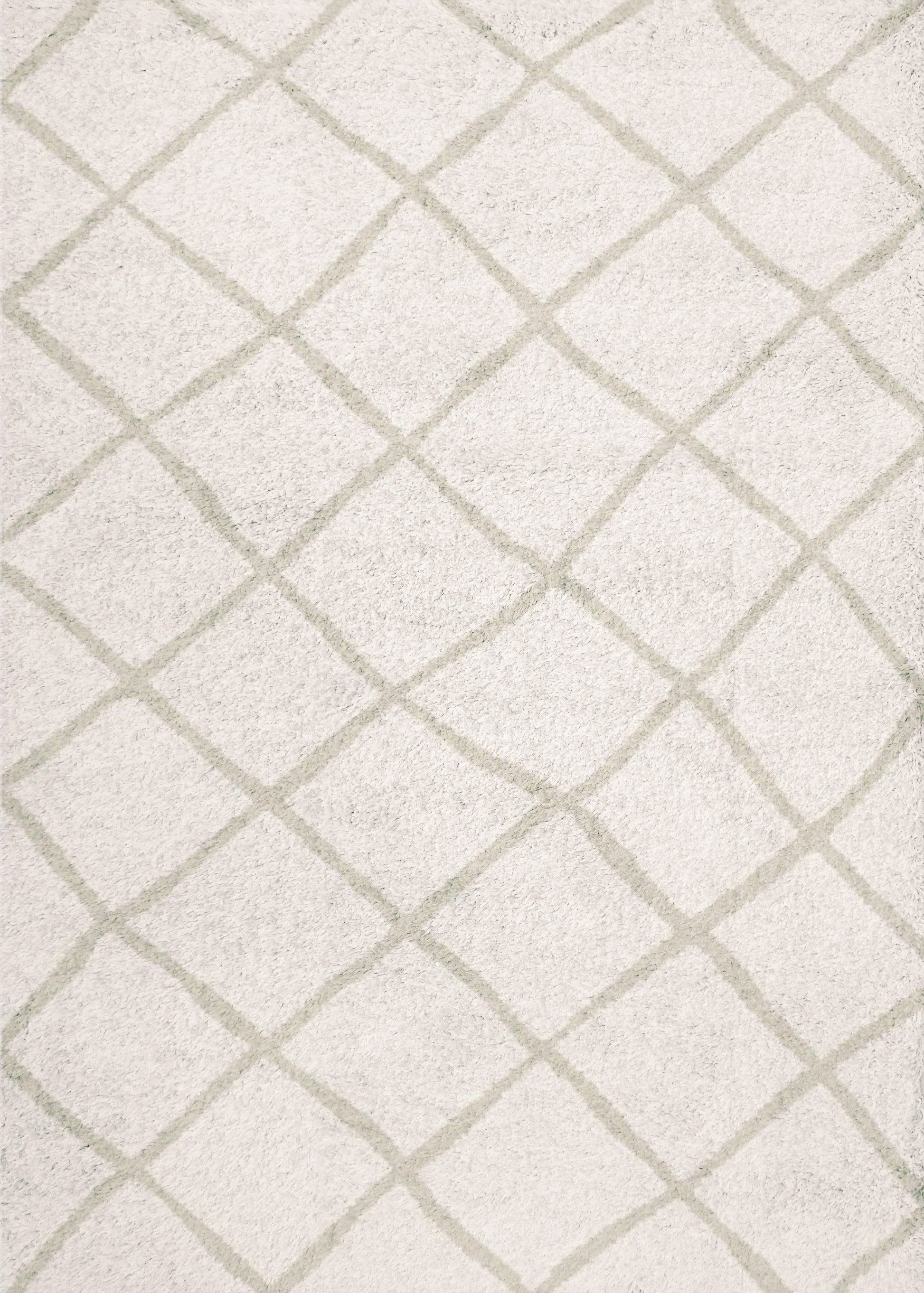 CALLIE 4972-108.jpg